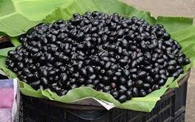 Black Jamun Fruit (Kala Jamun) | Jamun Plant