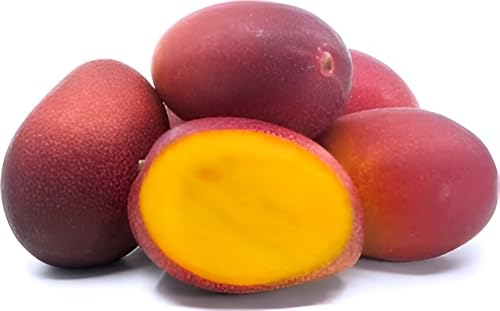 Miyazaki Mango Fruit | Miyazaki Mango Plant