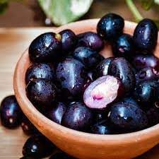 Black Jamun Fruit (Kala Jamun) | Jamun Plant