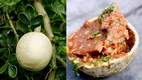 Wood Apple Fruit (Kotbel) | Wood Apple Plant