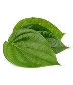 Betel Leaf (Paan) | Vetrilai Plant