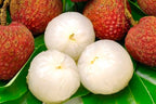 Lychee Fruit | Lychee Plant