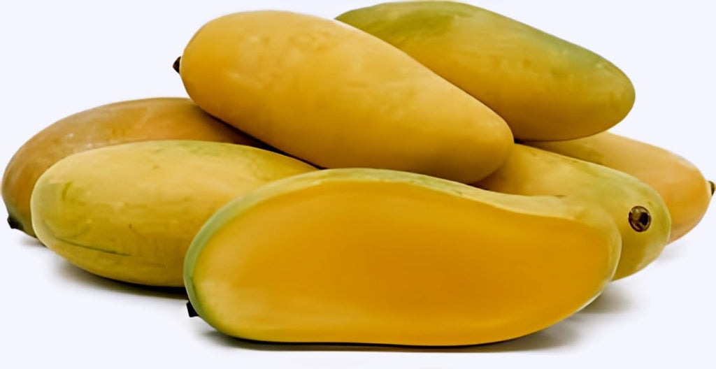 Yellow Banana Mango | Mango Plant
