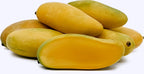 Yellow Banana Mango | Mango Plant