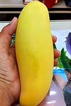 Yellow Banana Mango | Mango Plant