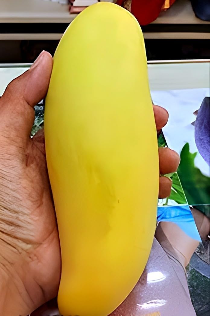 Yellow Banana Mango | Mango Plant