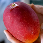 Red Miyazaki Mango Fruit | Miyazaki Mango Plant
