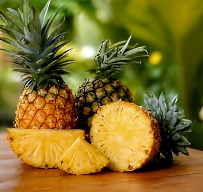 Pineapple Fruit | Pineapple Plant