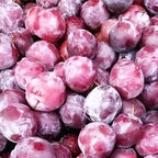 Thai Phalsa Fruit | Thai Phalsa Plant
