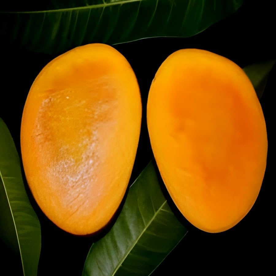 Red Miyazaki Mango Fruit | Miyazaki Mango Plant