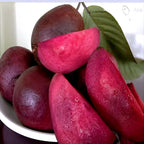 Red Guava Fruit | Malaysian Guava Plant