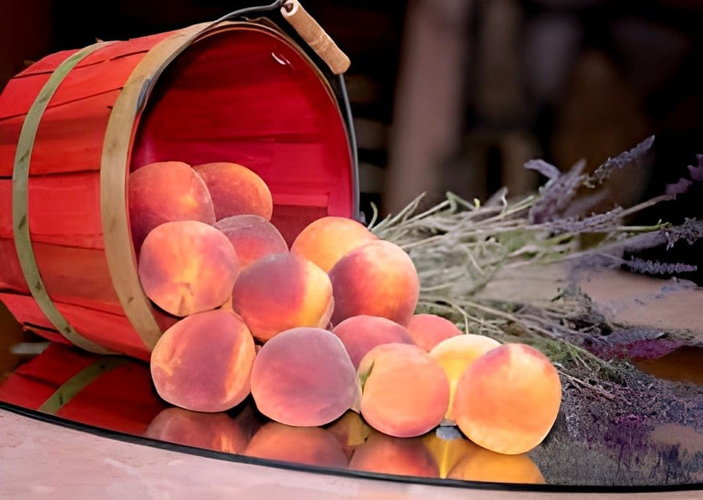 Peach Fruit | Peach Plant