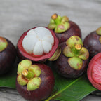 Mangosteen Fruit | Mangosteen Plant