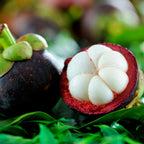 Mangosteen Fruit | Mangosteen Plant