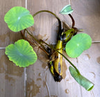 Red Lotus Flower | Water Lily Plant