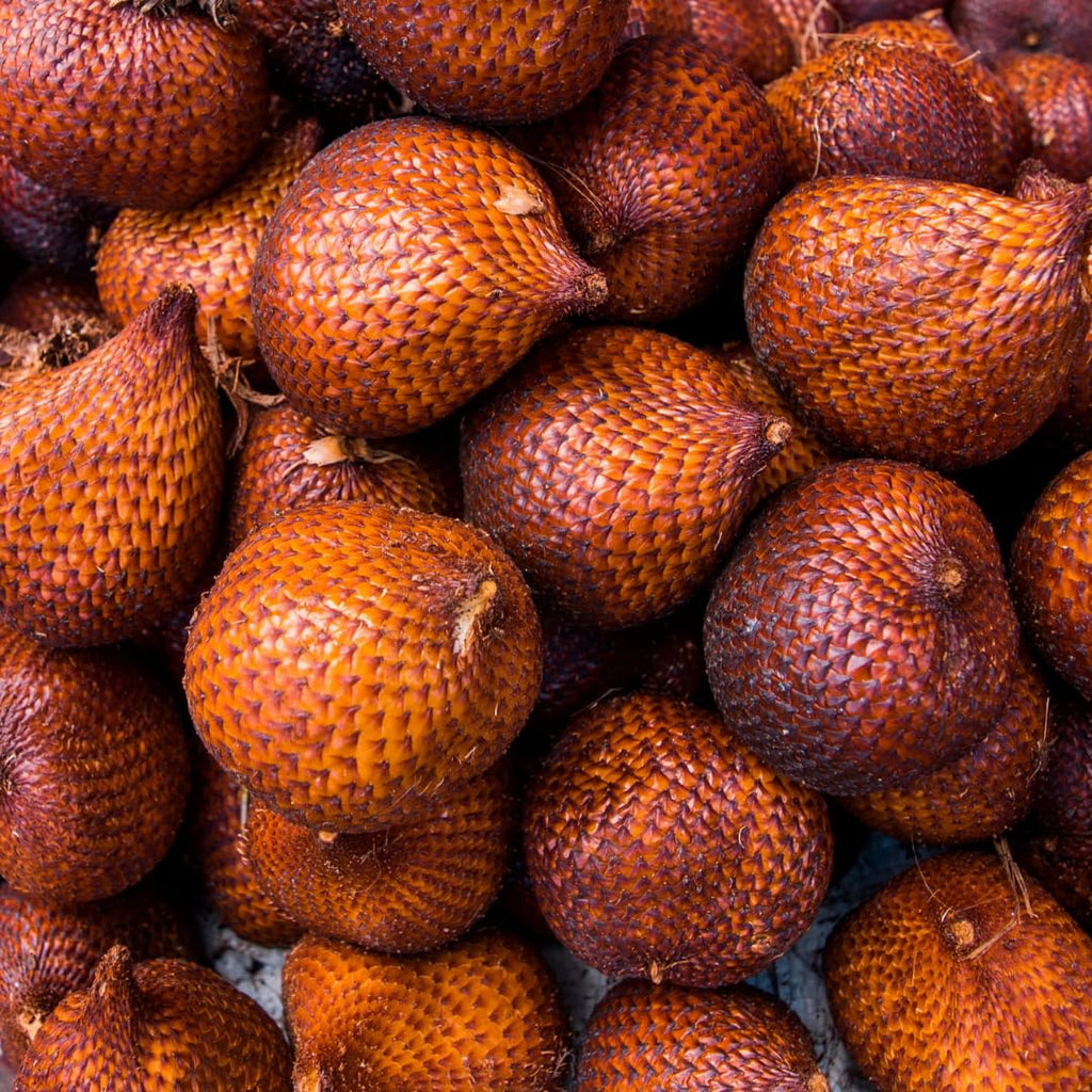 Snake Fruit | Snake Fruit Plant